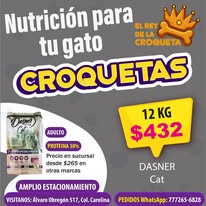 Bodega de Croquetas - imagen 8